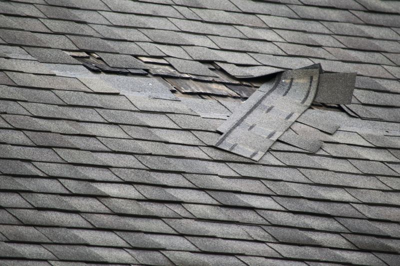 Shingle Overlay Repairs